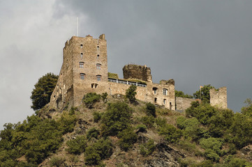 Fototapeta premium rhine river castle - germany