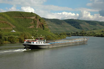 barge on rhine river in the  wine region of german