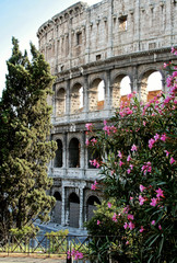 Obraz premium colloseum in Rom zwischen Blumen
