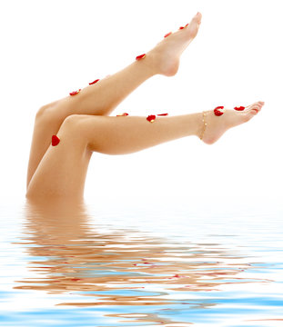 beautiful legs in blue water