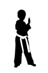 kid in taekwondo