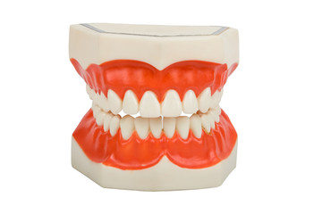 Obraz premium dentures, dental prosthesis