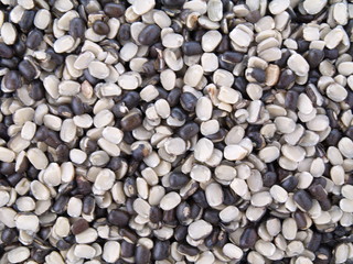 urid bohnen nah aufnahme