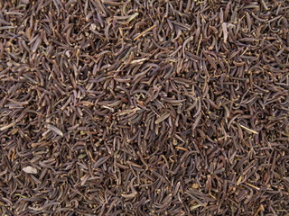 nah aufnahme kreutz kümmel