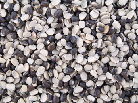 Urid Images – Browse 3,996 Stock Photos, Vectors, and Video | Adobe Stock