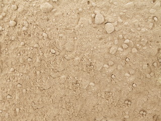 nah aufnahme steinpilz pulver