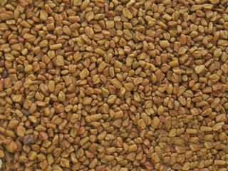 nah aufnahme fenugreek