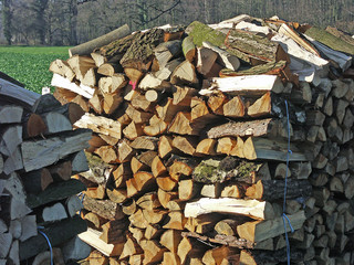 brennholz