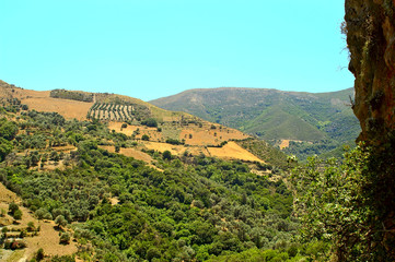 greek landscape