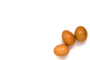 eggs
