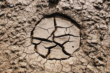 circle formation in a cracked dry land