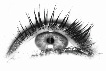 oeil