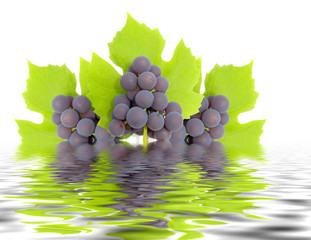 some clusters of a grapes