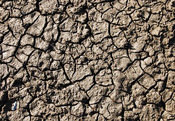 cracked dry land