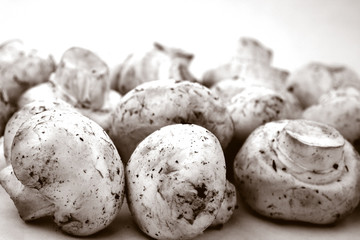 champiñon