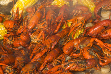 steaming cray fish