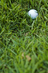 in the rough