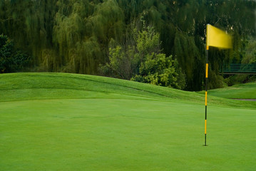 windy golf green