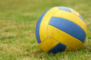 green volley