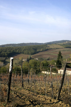 rolling hills