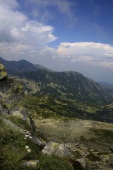 mountain landscape with white alpine flowers