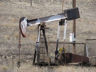 animal oil well