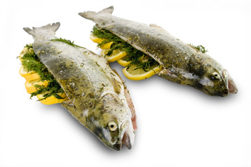 marinated rainbow trout