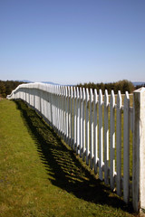 Obraz premium pig war fence
