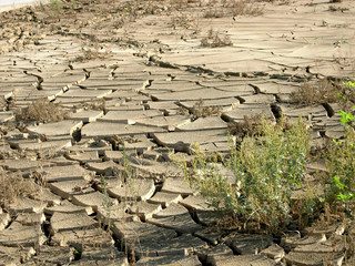drought land(river)