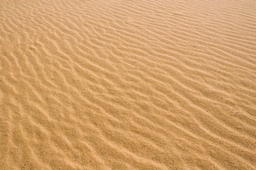 dunes