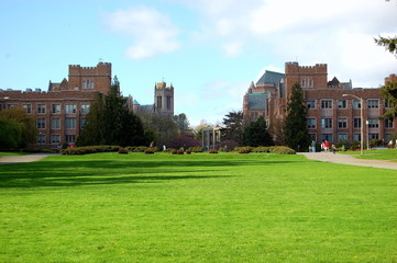 university