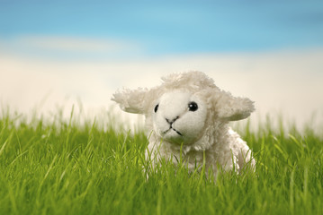 lamb i