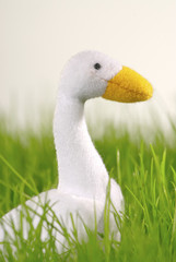 goose i