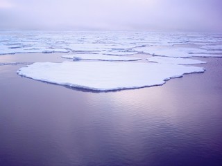 arctic ice
