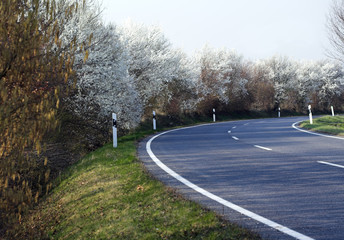 landstaße im frühjahr