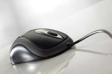 mouse