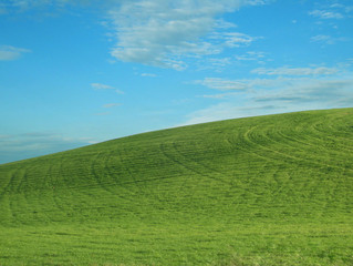 Obraz premium grüne wiese vor blauem himmel