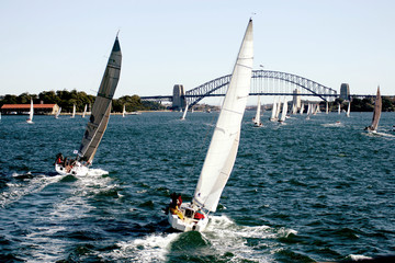 yacht regatta at sydney harbor