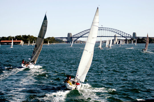 Fototapeta yacht regatta at sydney harbor