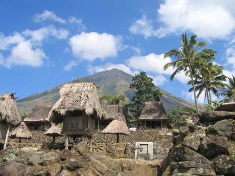 ngada village from the ngadhus and bhagas, bajawa, flores, indon