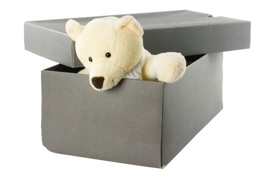 teddy bear in a shoebox