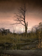 after struck thunderbolt