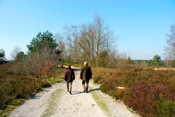 forrest path with hikers.