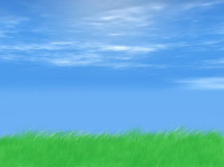 Fototapeta na wymiar grass and sky