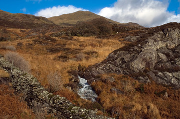 yr aran