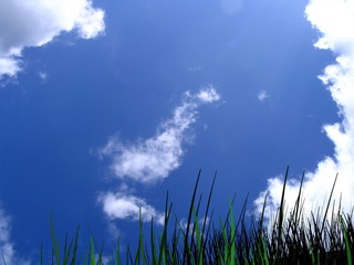 day light
