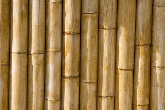 textura de ca&ntilde;a de bamb&uacute; de alta calidad