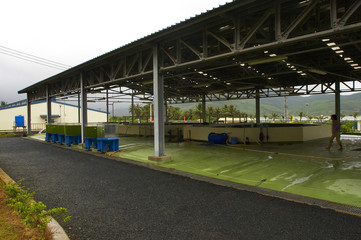 fish-factory