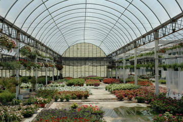 greenhouse nursery