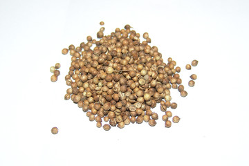 mustard seed